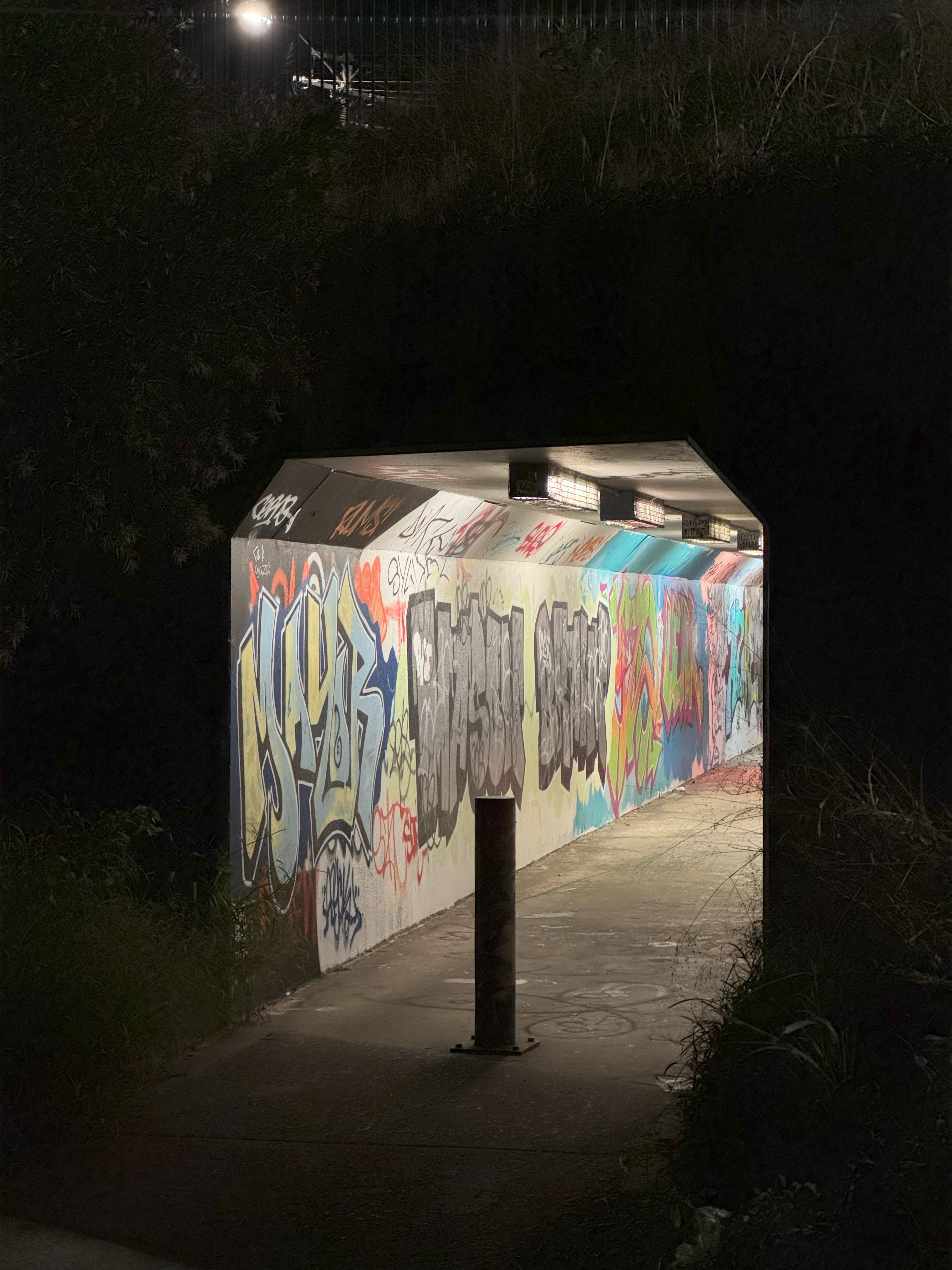 Photo Lost